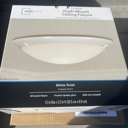 Ceiling Mount Light Fixture
