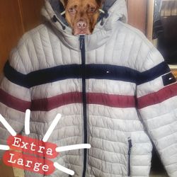 Tommy Hilfiger Puffer Coat