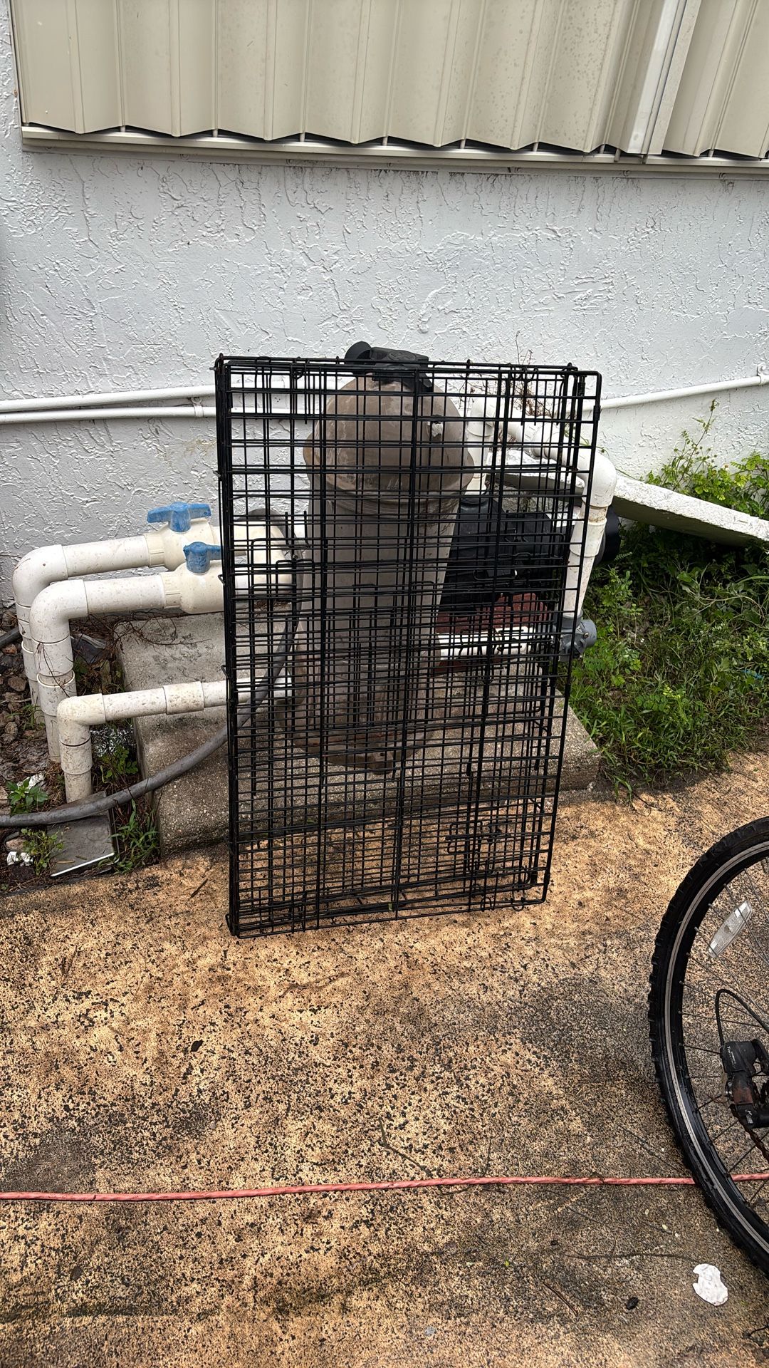 Medium dog cage?