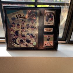 San Diego Padre  Fans - 2 For The Price Of One