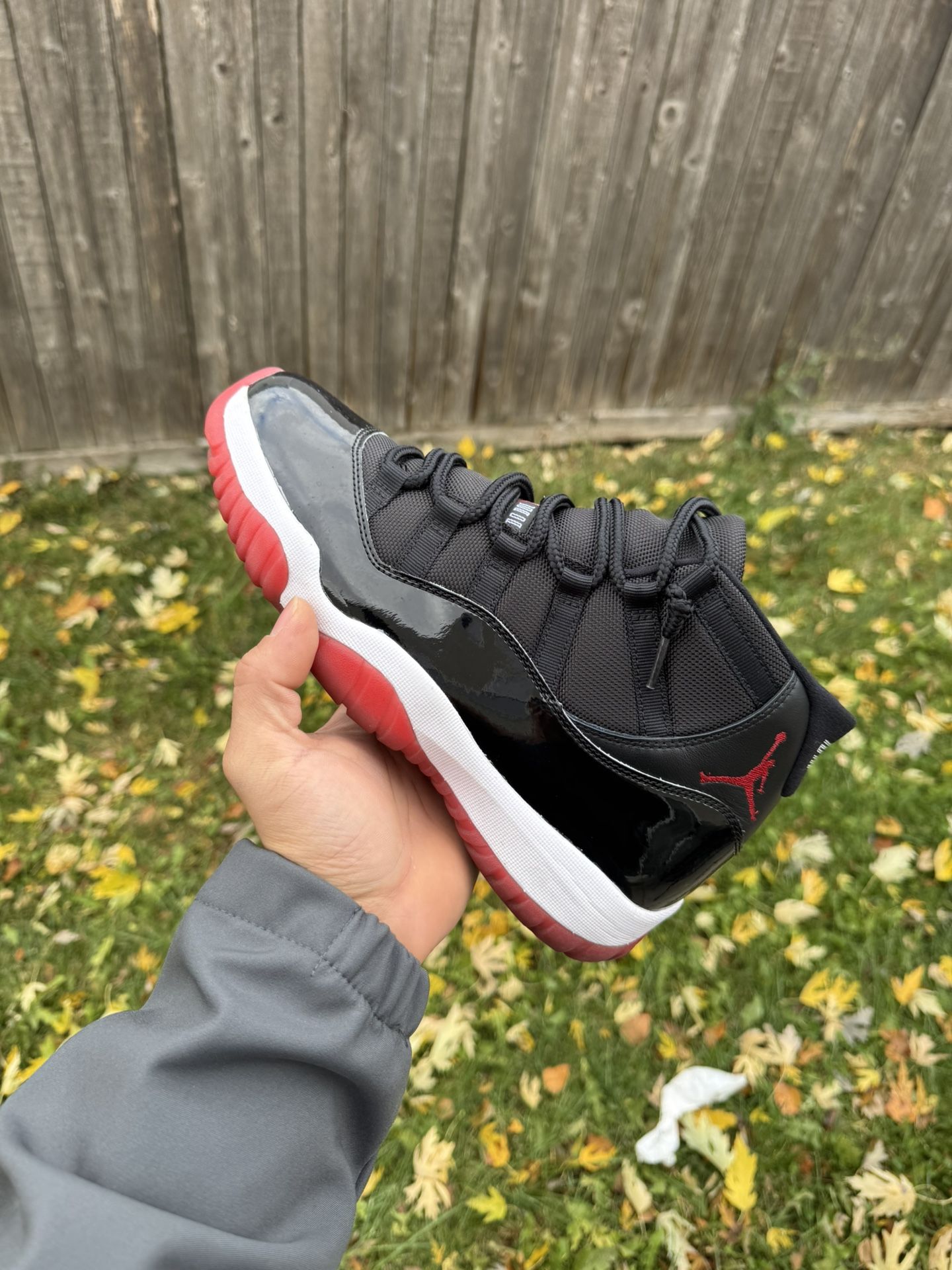Bred 11s 2019