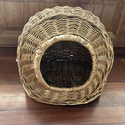 Wicked cat Home