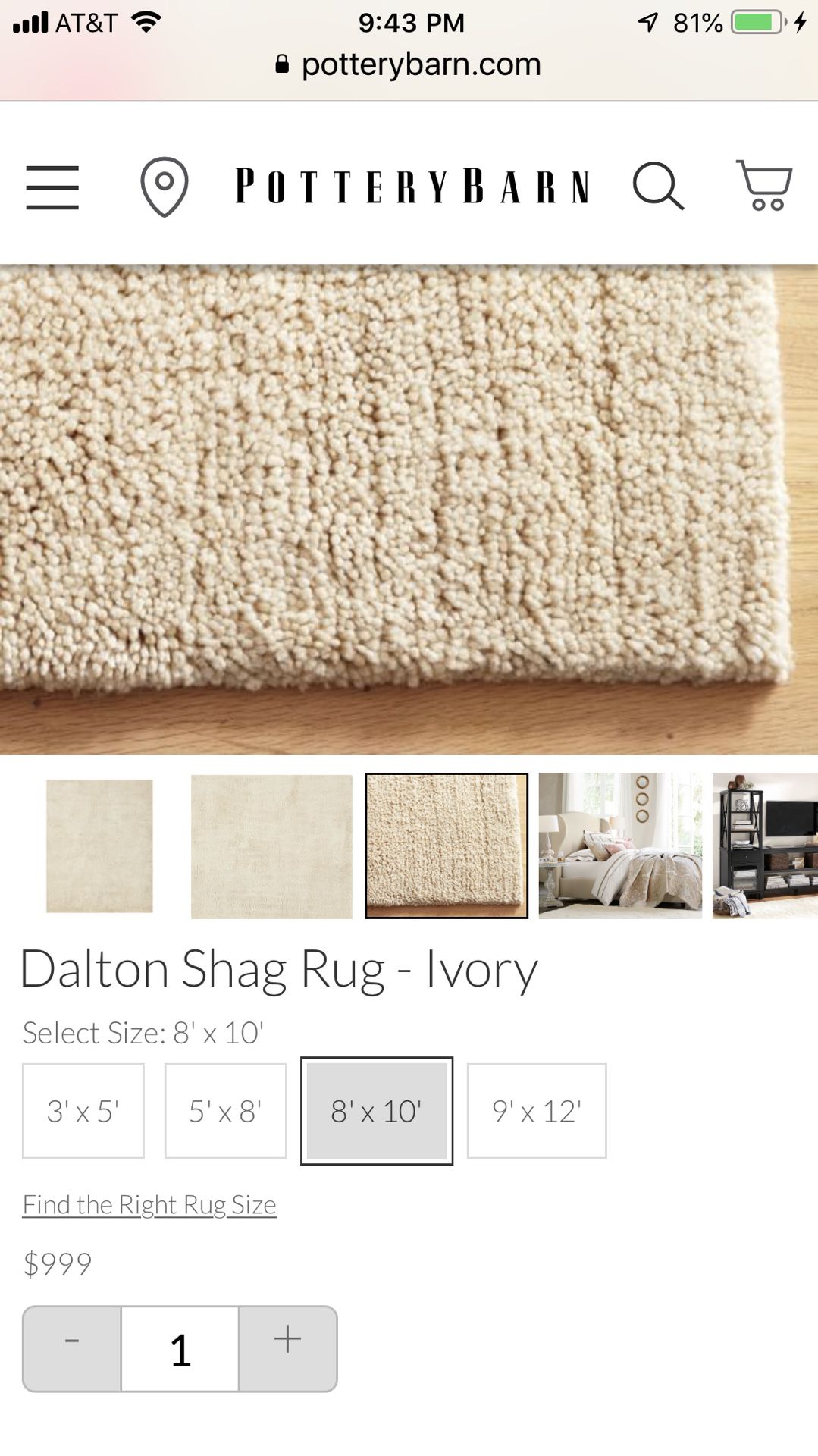 Pottery Barn dalton shag rug Ivory - 8”x10”