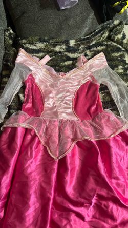 Sleeping Beauty Costume 