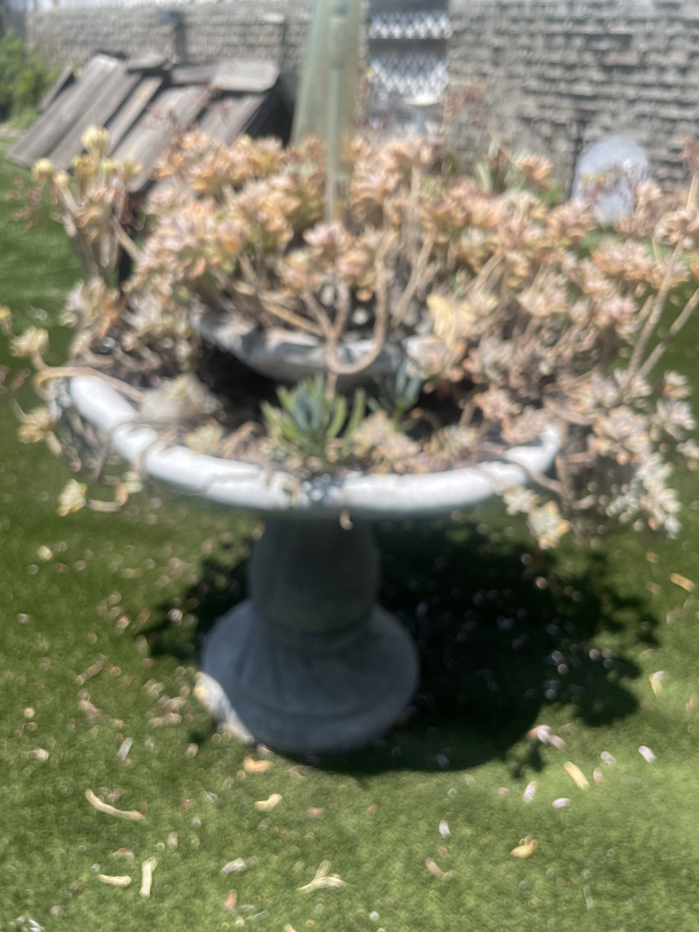 Fountain Planter