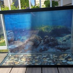 Fish Tank 29 Gallons