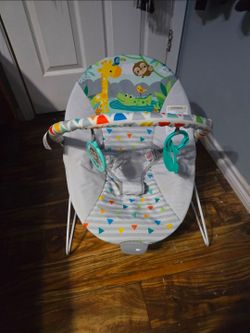 Baby Bouncer Chair