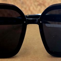Channel Sunglasses  New
