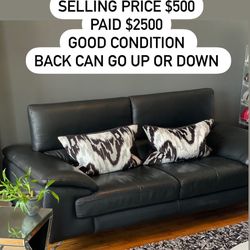 $500 Leather Sofa 