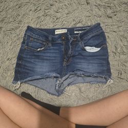 Woman's Shorts