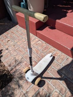 Bird scooter