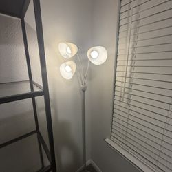Lights MUST GO by 5.28 $12