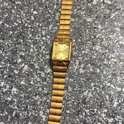 Women Citizens Watch 