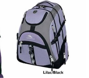 High Sierra Backpack Lavender and Gray