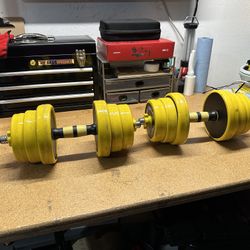 Pack Of Two Dumbbells Barbell