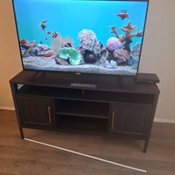 TV and TV stand