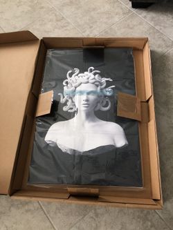 Medusa Canvas Print