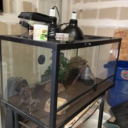 Reptile Tank