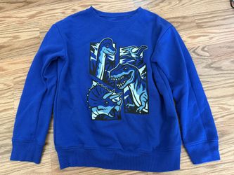 Boys Dinosaur Sweatshirt Size 8