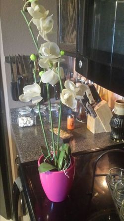 ARTIFICIAL ORCHID