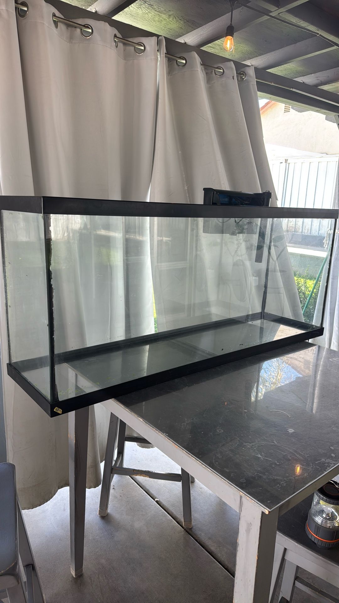 Fish Tank