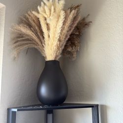 pampas grass