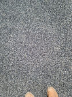 New 12ft X 49.5ft Carpet Roll Blue With White&Black $325