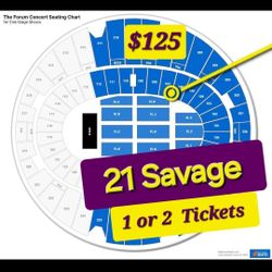 21 Savage Tickets 