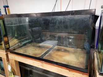 Aquarium Masters 120g fish tank