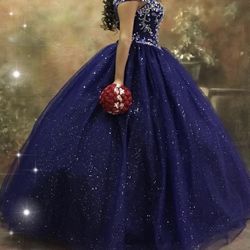 Quinceañera Dress $260