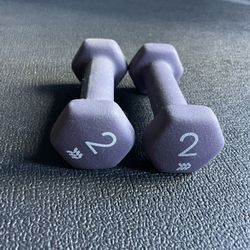 2lb Hand Weights