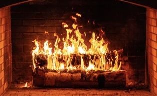 Firewood Almond