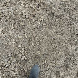 Free Horse Manure 
