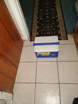 IGLO COOLER WORKS GOOD!!