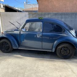 1974 Volkswagen 