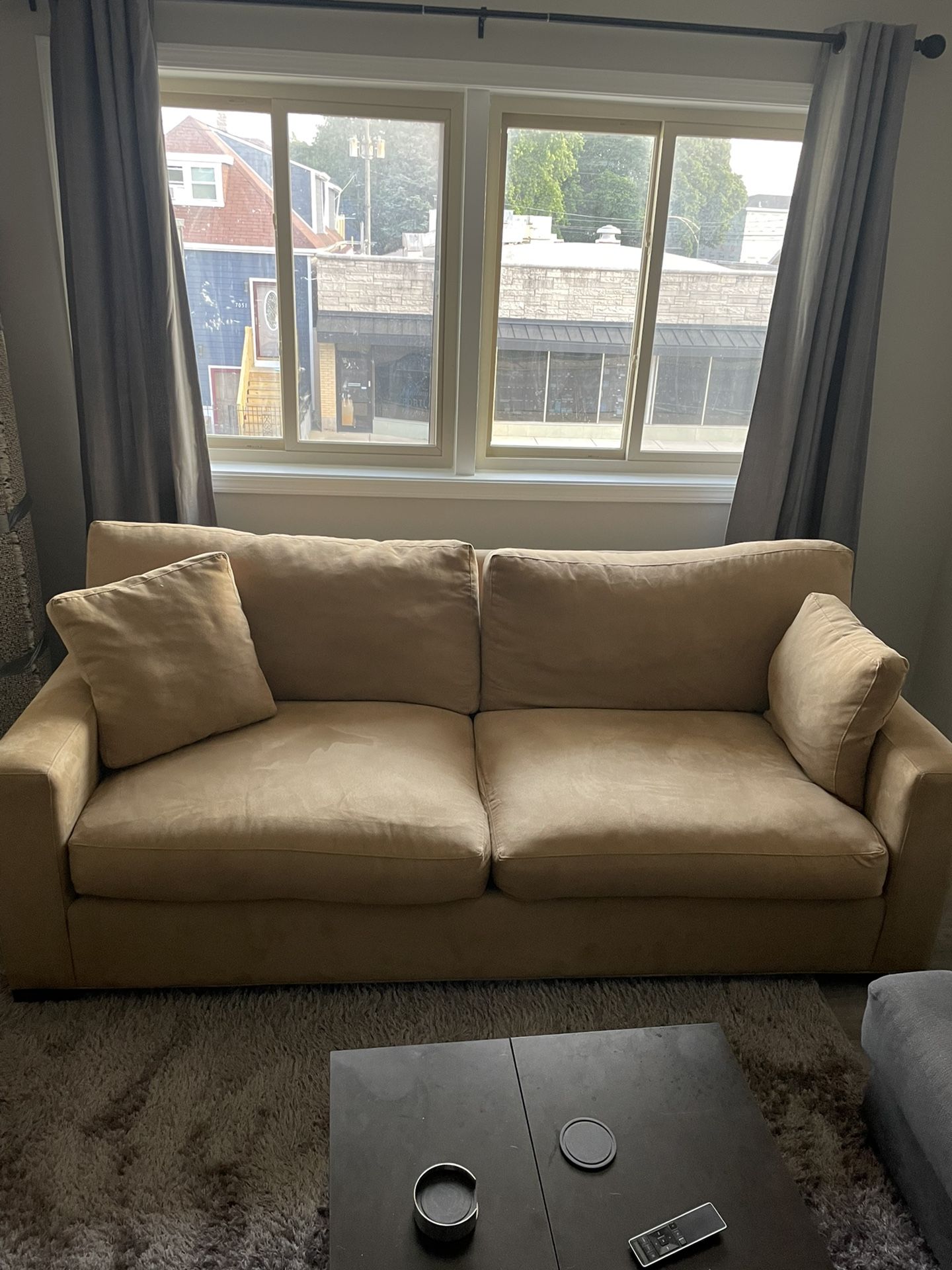 Crate And Barrel 2 Seater Sleeper Sofa