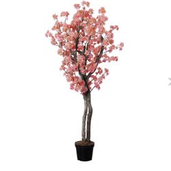 Cherry Blossom Tree