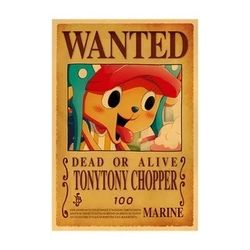 One Piece Wanted Poster
