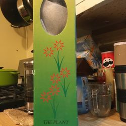 Hand Blown Glass Houseplant Watering Instrument