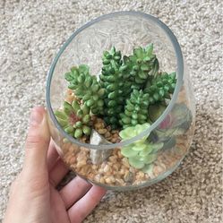 Fake Plant Jar