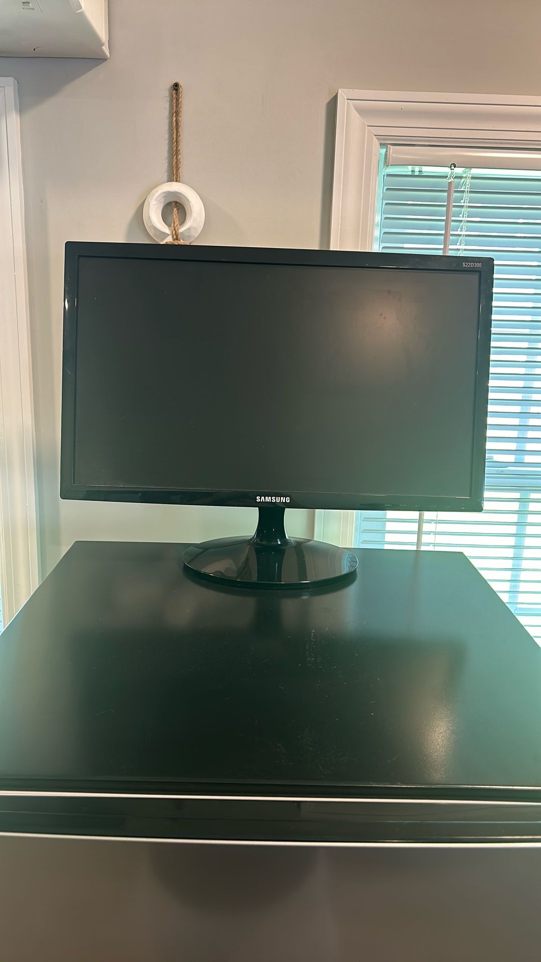 Computer Monitor