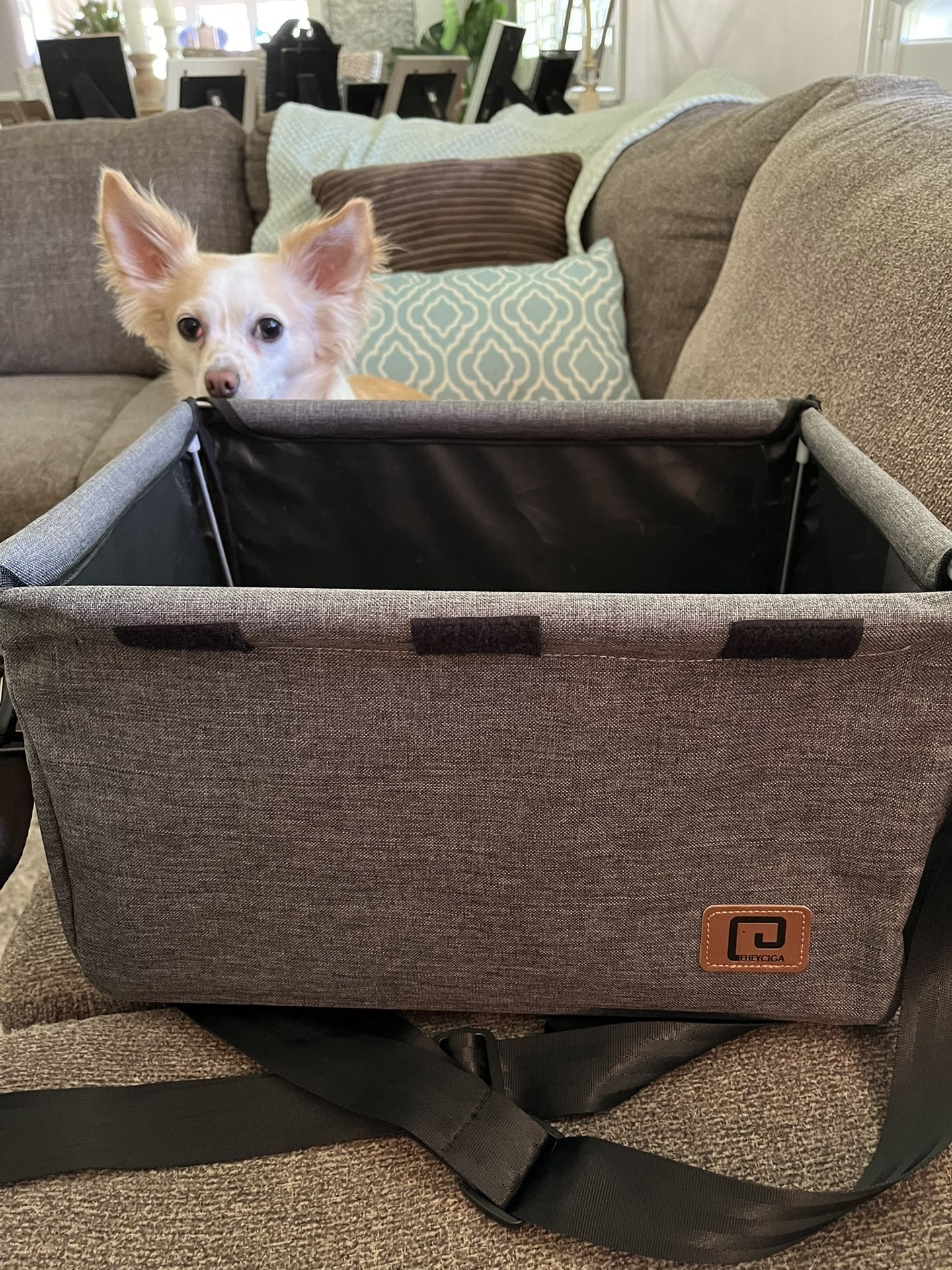 Brand New, Never Used Dog Car Seat