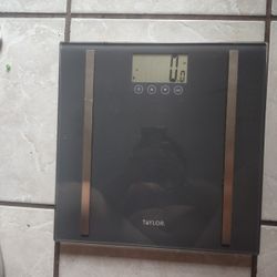 Weight Scale 
