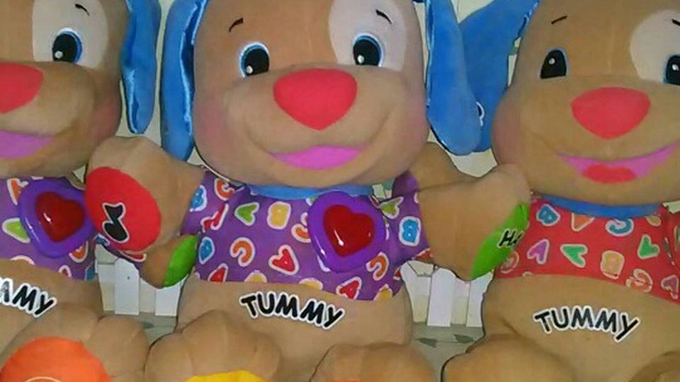 Laugh & Learn Puppy By Fisher Price!
