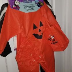 New pumpkin biodegradable costume