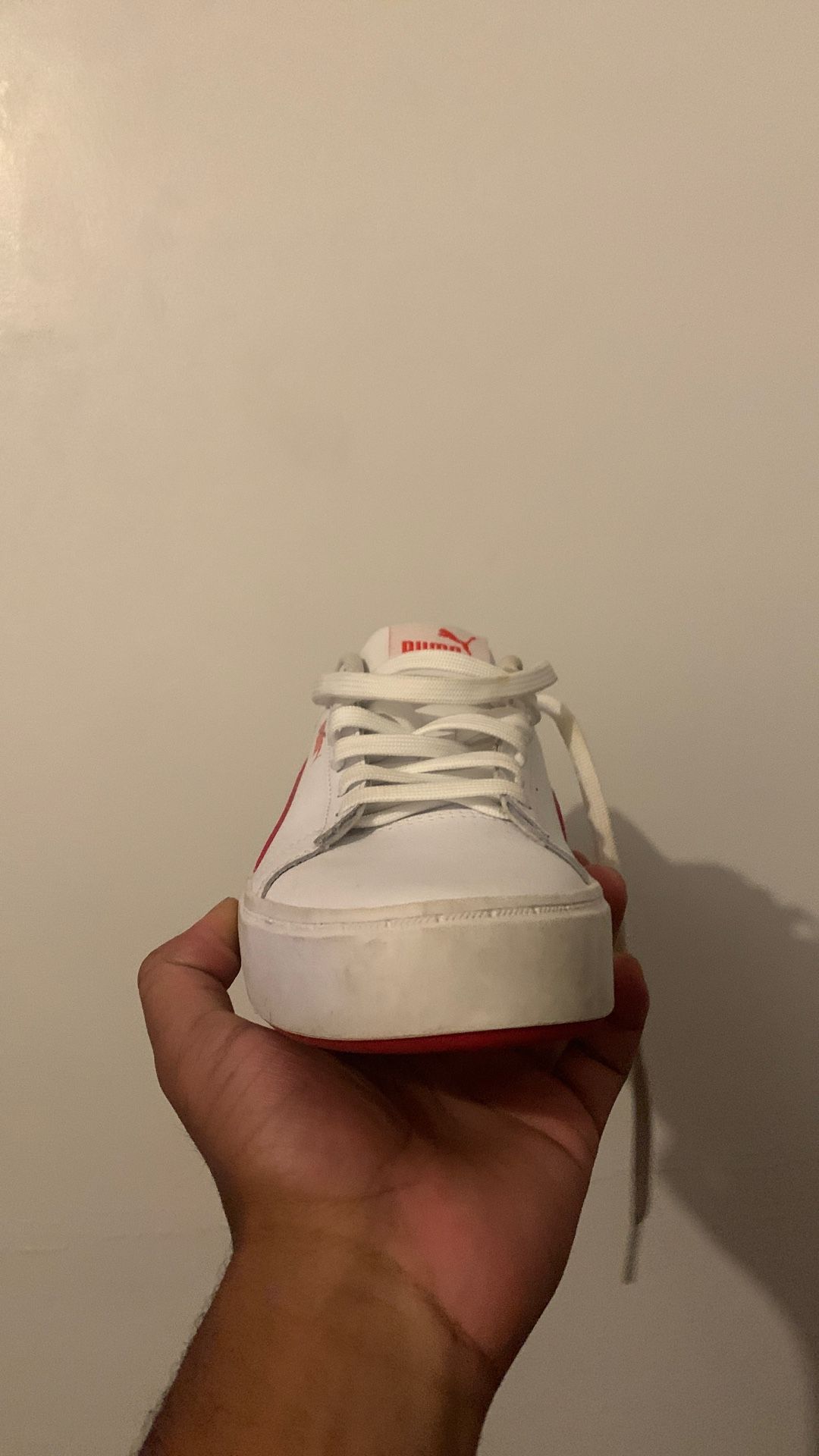pumas
