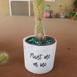 Cacti in ceramic and clay $4. each