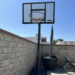 Basketball Hoop (Lifetime Brand)