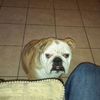 Jose