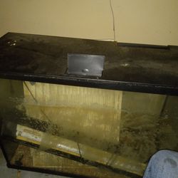 29 Gallon Fish Tank